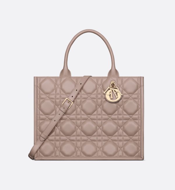 Dior Medium Dior Book Tote HandBags