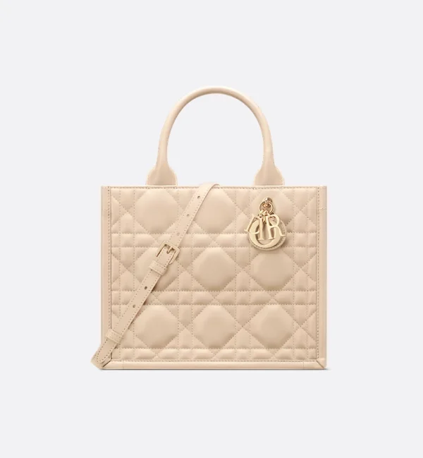 Dior Small Dior Book Tote HandBags