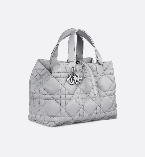 Dior Medium Dior Toujours Bag HandBags