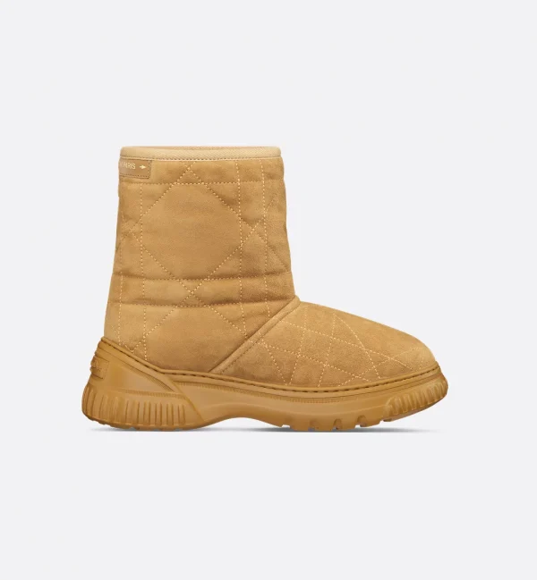 Dior Frost Ankle Boot