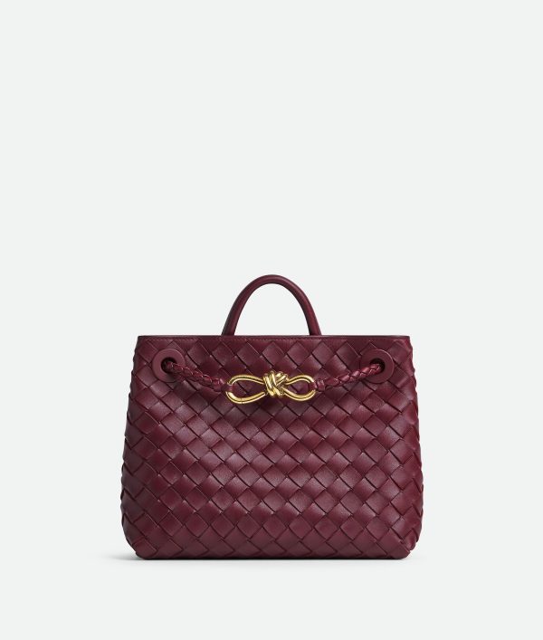 Bottega Veneta Small Andiamo