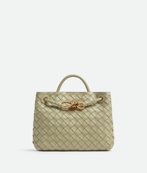 Bottega Veneta Small Andiamo