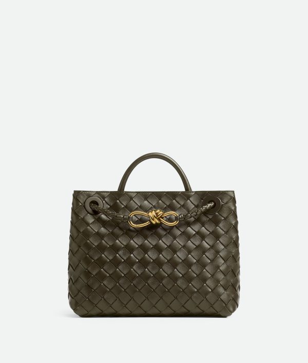 Bottega Veneta Small Andiamo