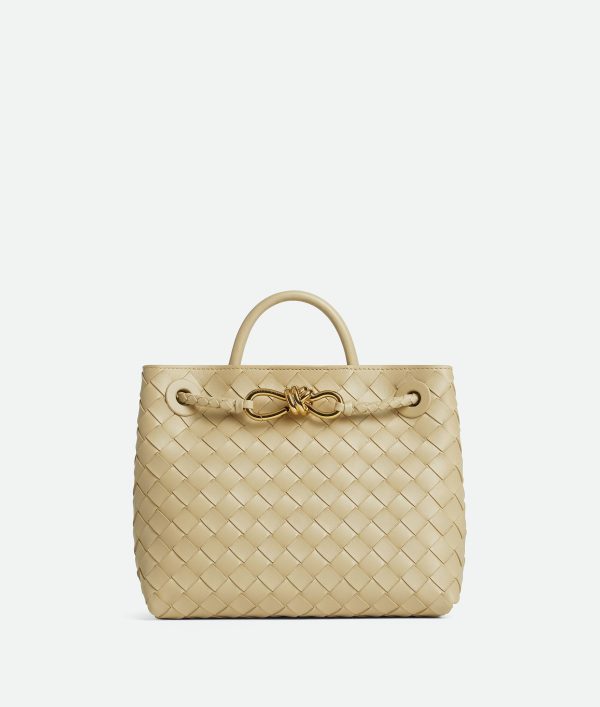 Bottega Veneta Small Andiamo