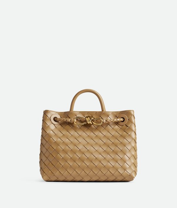 Bottega Veneta Small Andiamo