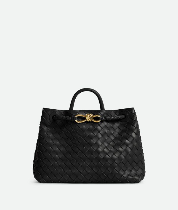Bottega Veneta Medium Andiamo