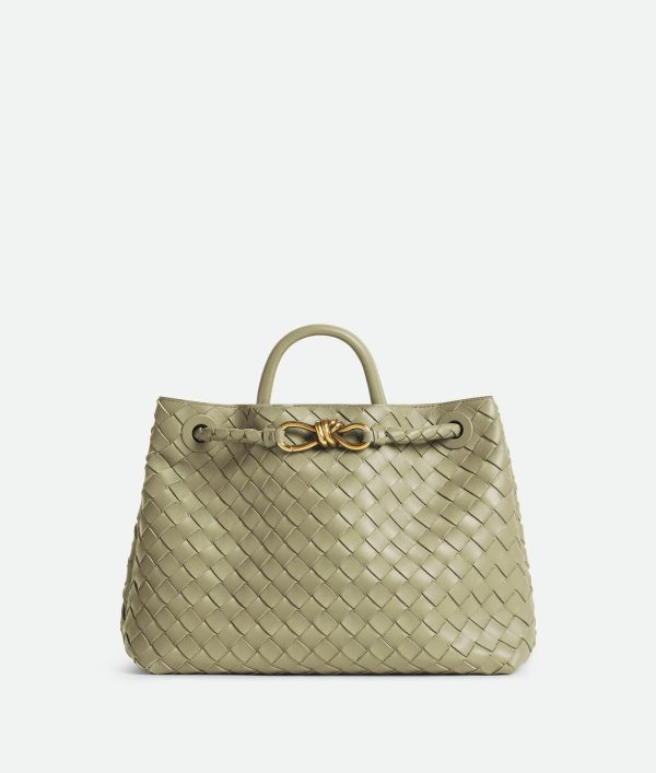 Bottega Veneta Medium Andiamo