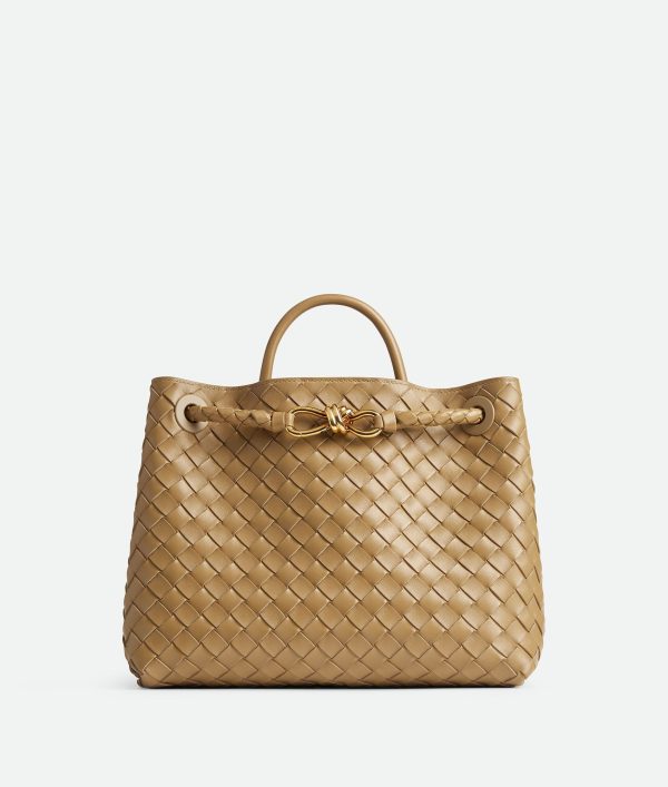 Bottega Veneta Medium Andiamo