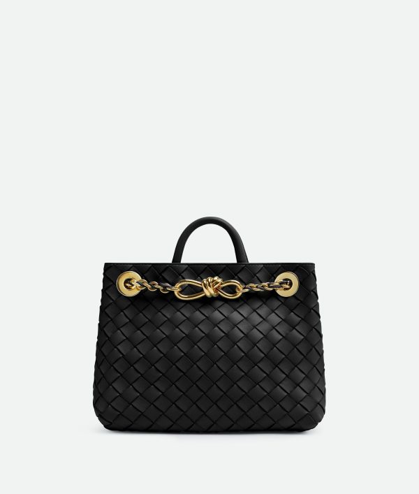 Bottega Veneta Small Andiamo With Chain