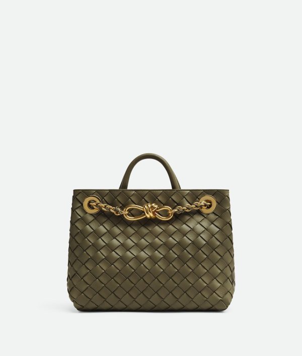 Bottega Veneta Small Andiamo With Chain