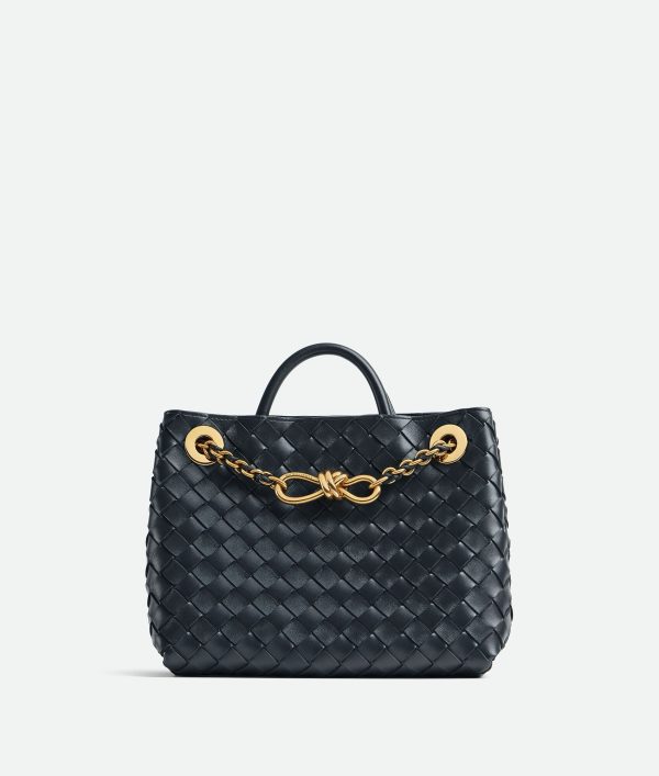 Bottega Veneta Small Andiamo With Chain