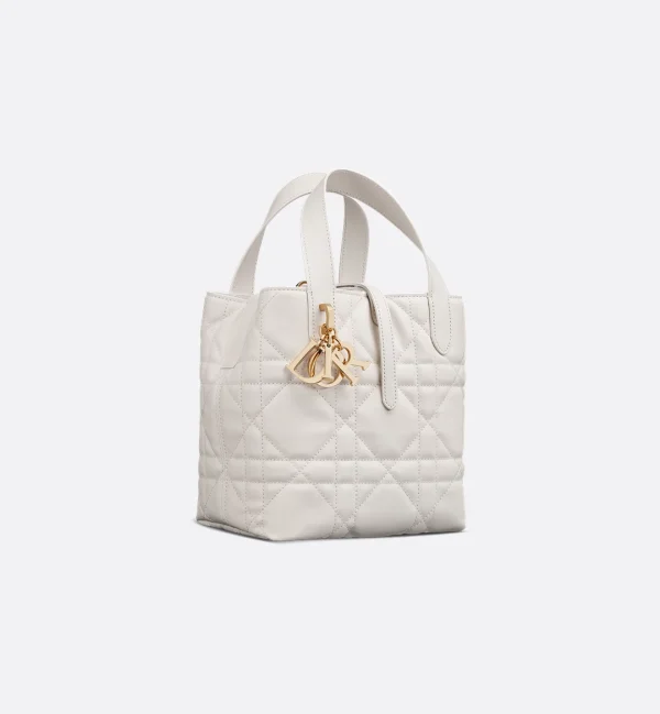 Dior Small Dior Toujours Vertical Tote Bag
