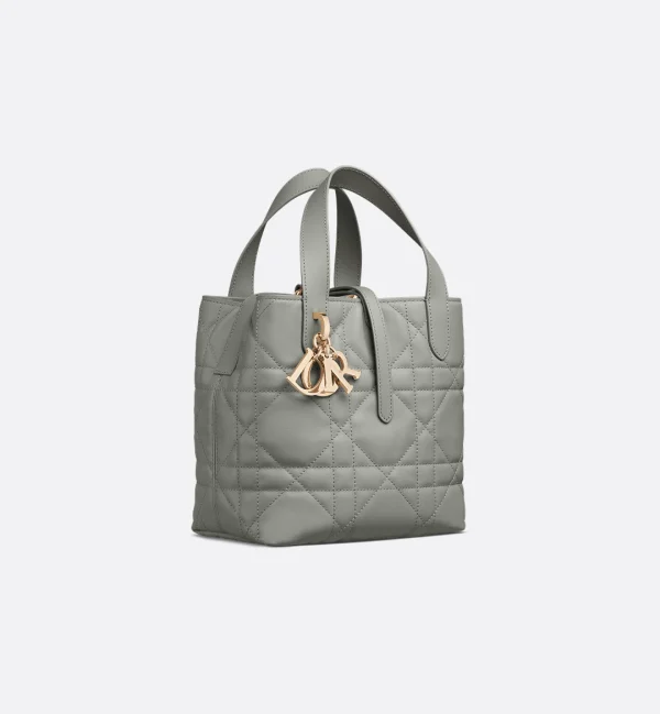 Dior Small Dior Toujours Vertical Tote Bag