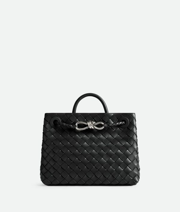Bottega Veneta Small Andiamo