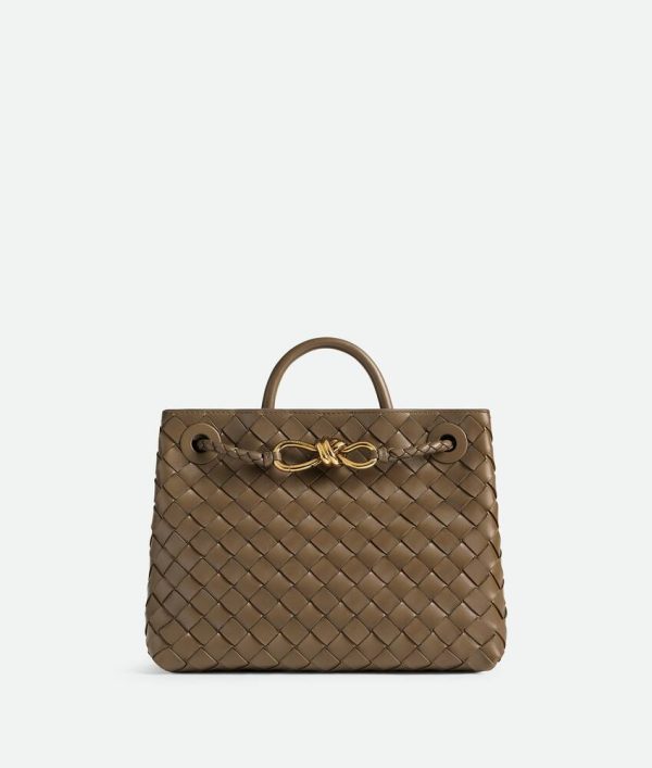 Bottega Veneta Small Andiamo