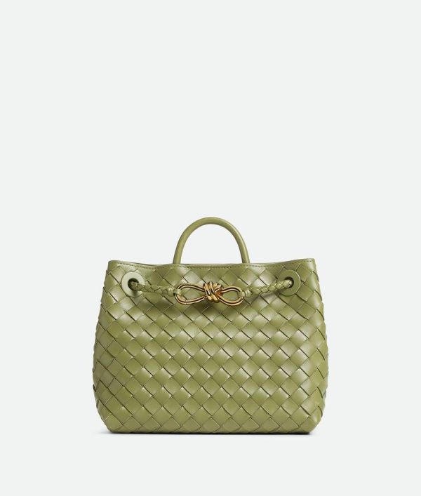 Bottega Veneta Small Andiamo