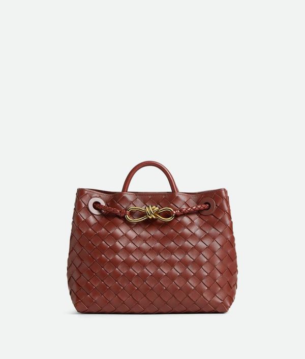 Bottega Veneta Small Andiamo