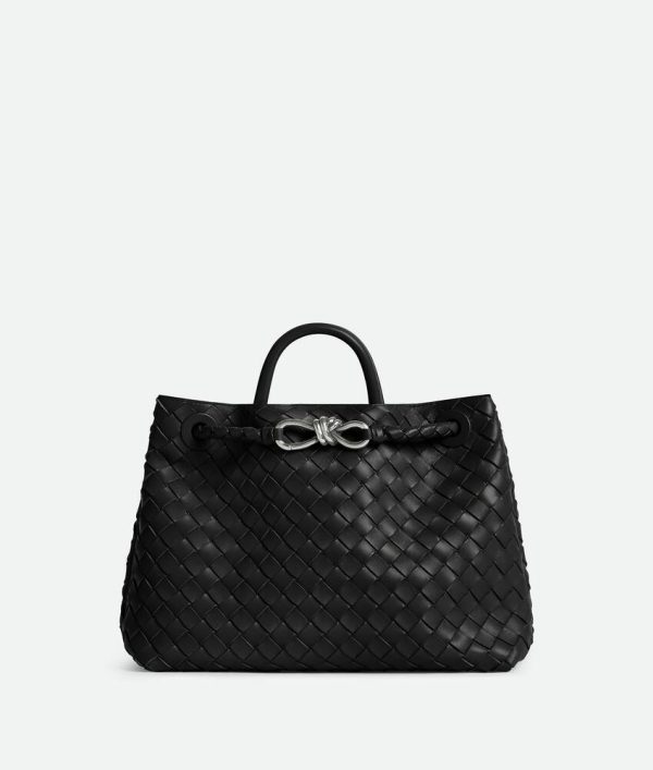 Bottega Veneta Medium Andiamo