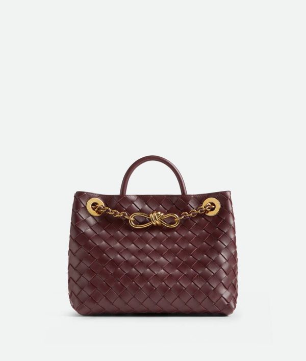 Bottega Veneta Small Andiamo