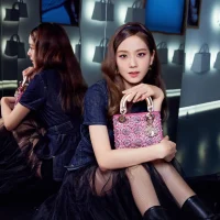 bestluxurygoods-DIOR